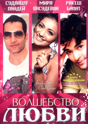 Волшебство любви (2006)